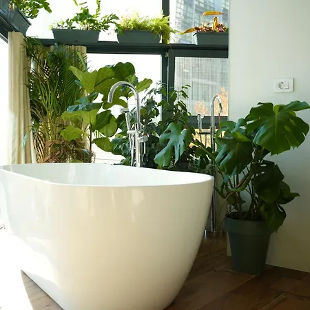 מלון דירות Moonlight טיראנה